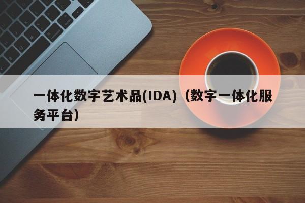 一体化数字艺术品(IDA)（数字一体化服务平台）