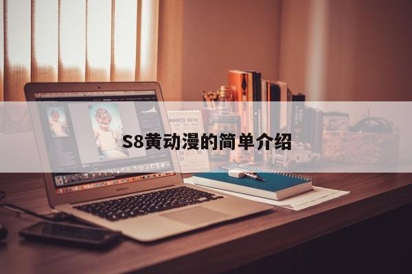 S8黄动漫的简单介绍